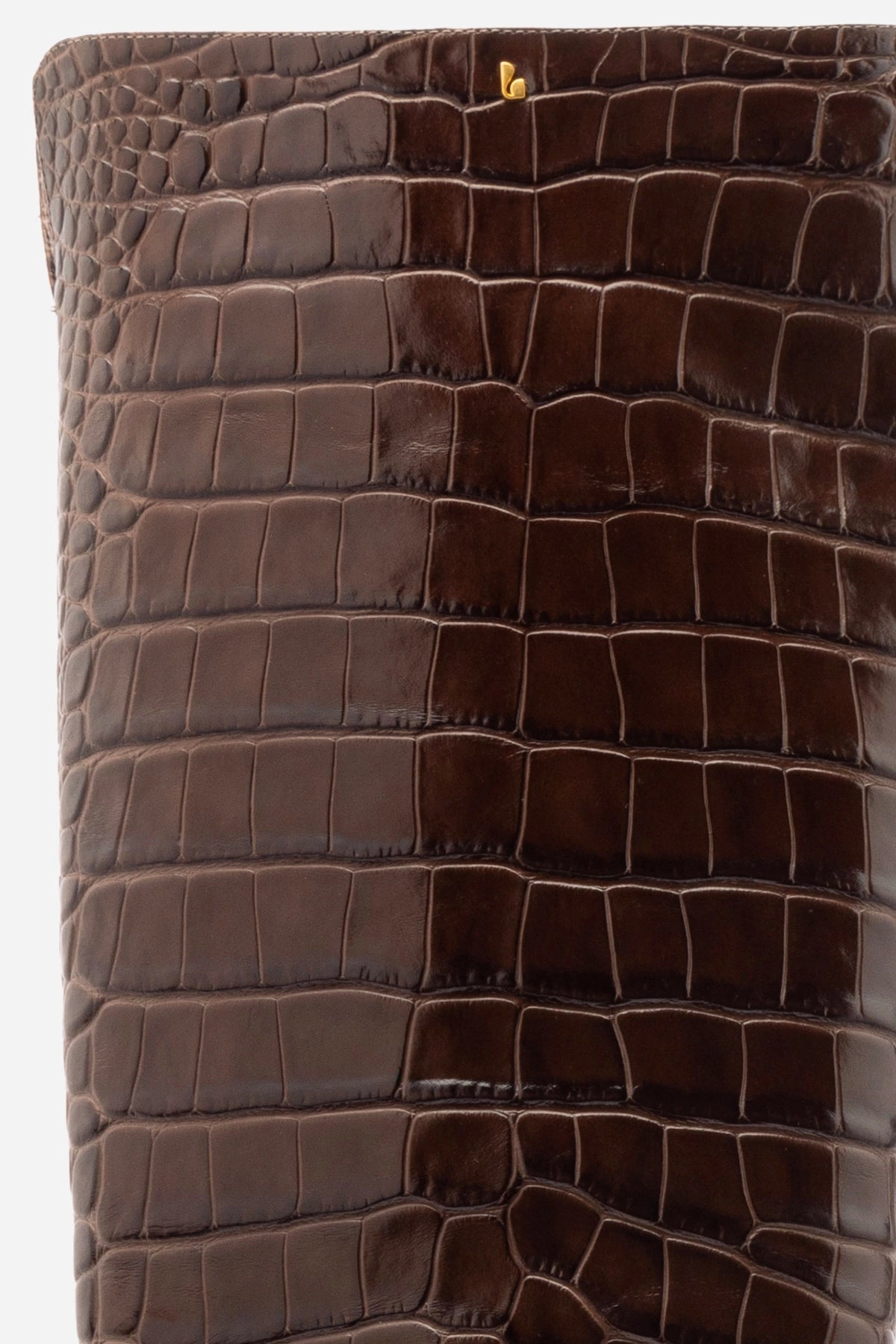 Kate Hi Boot In Brown Leather River Cross