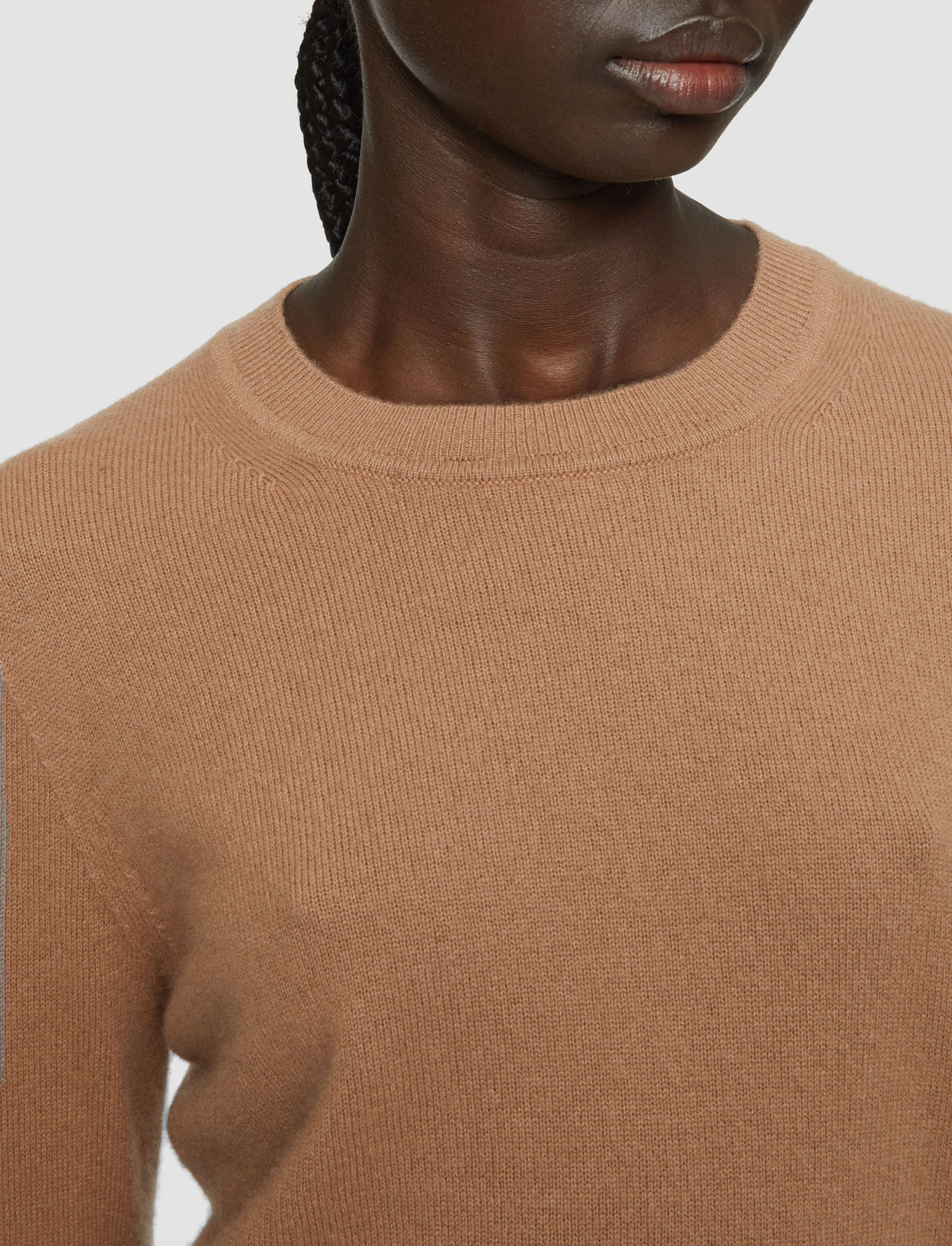 Fall Favorites Light Pure Cashmere Round Neck Jumper