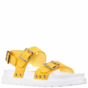 URBAN-CANARY Bone Aid Recycled Rubber Composite