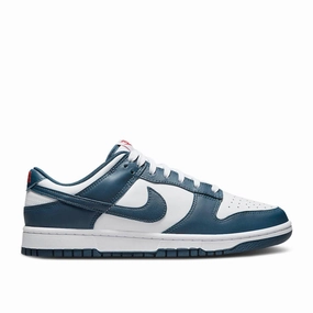 Nike Dunk Low Retro - Valerian Blue Quick Dry Fabric Technology
