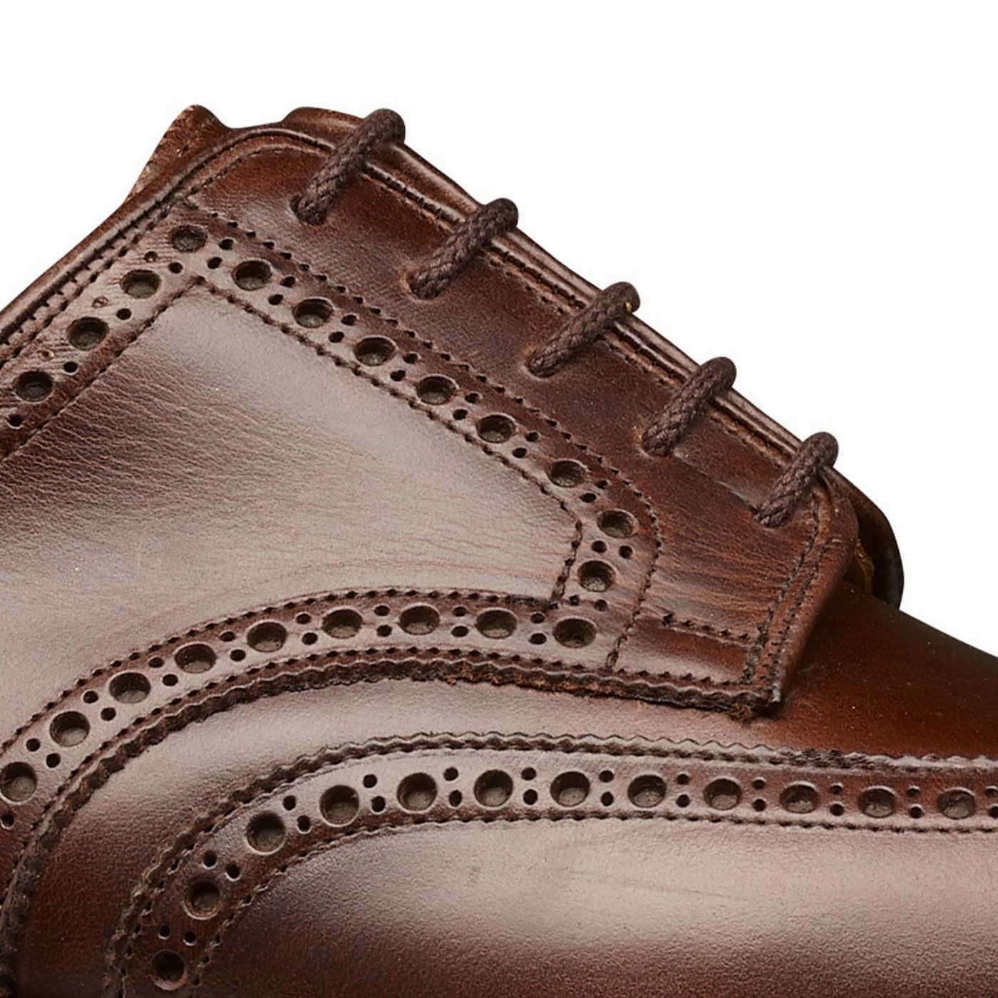 Pembroke 2 Coffee Hurricane Hide Training