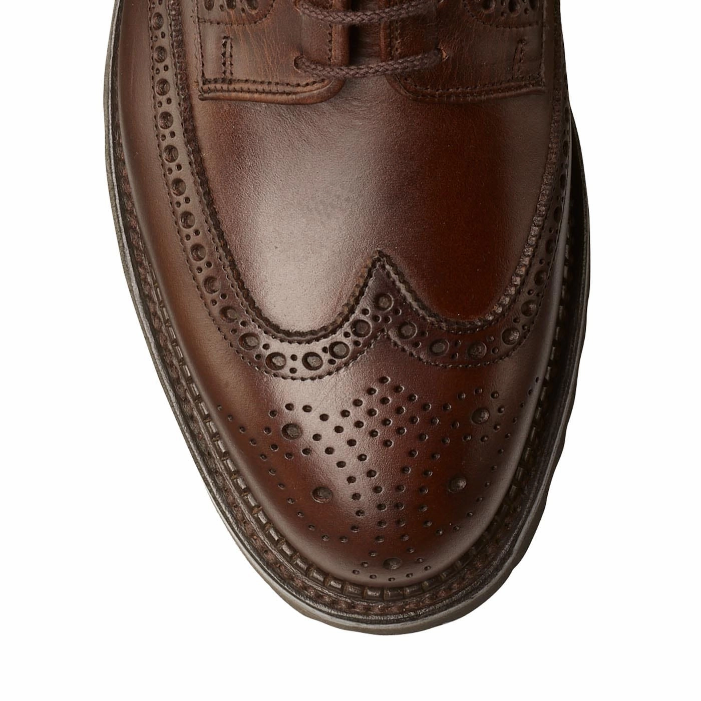 Cyber Mode Pembroke 2 Coffee Hurricane Hide