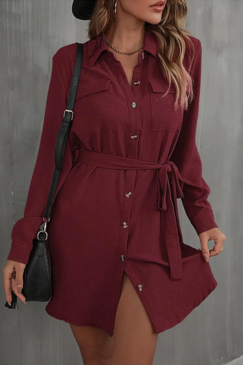 Subtle tone BUTTON DOWN DANDY SHIRTS DRESS