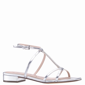 Elastic SASHA-SILVER