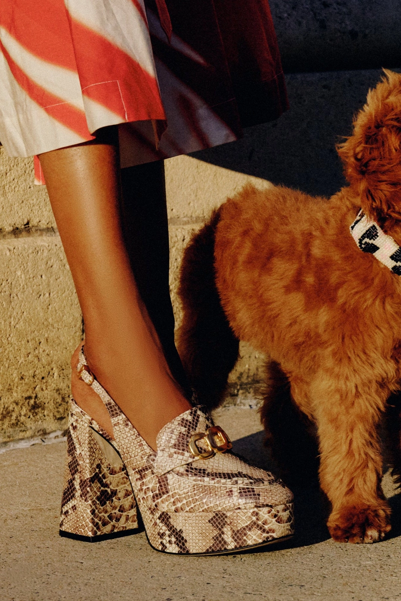 Feather Light Modern Commuters Fresh Drop Harrington Loafer Hi In Neutral Snake Stamped Leather