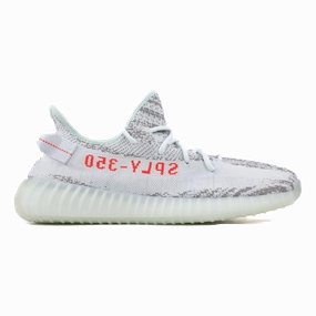 Earth Mood Easy Flow Yeezy Boost 350 V2 - Blue Tint - Used